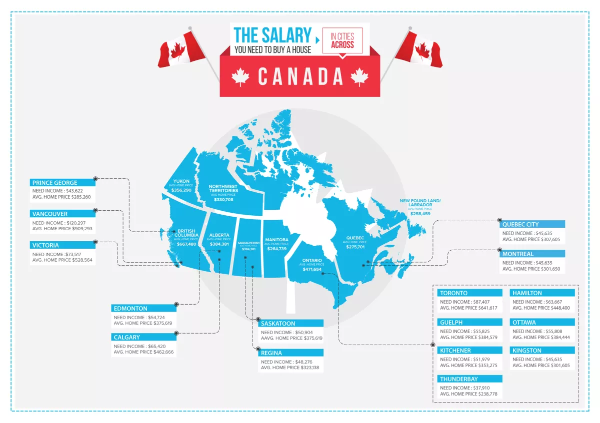 design a high quality infographic