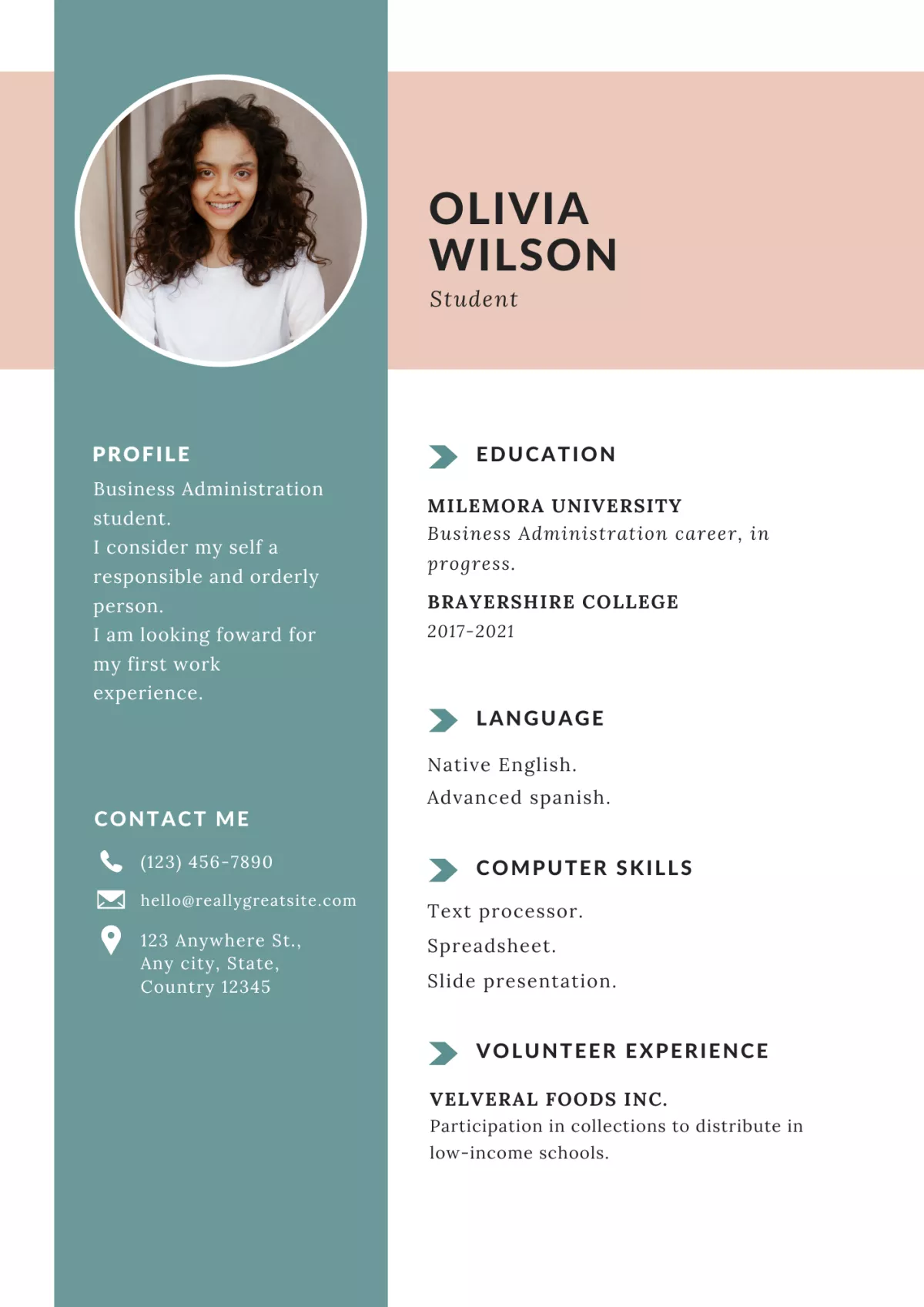 I will design your professional CV or resume