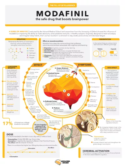 design a high quality infographic