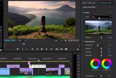 I will edit your Videos 